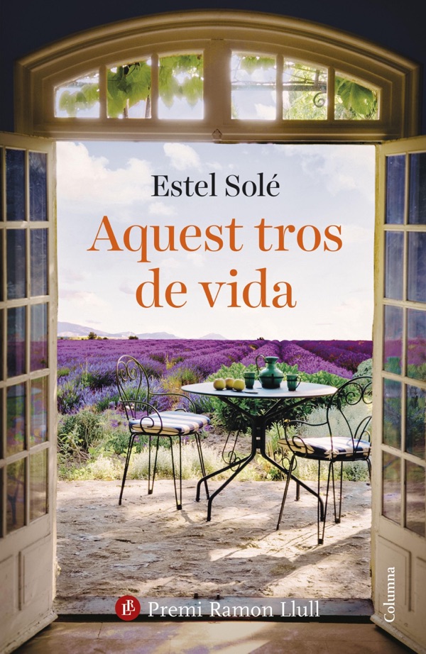 Cover of Aquest tros de vida